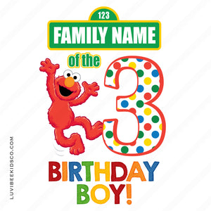 Sesame Street Iron On Birthday Shirt Design | Elmo Birthday Boy or Girl | Add Family Members - LuvibeeKidsCo