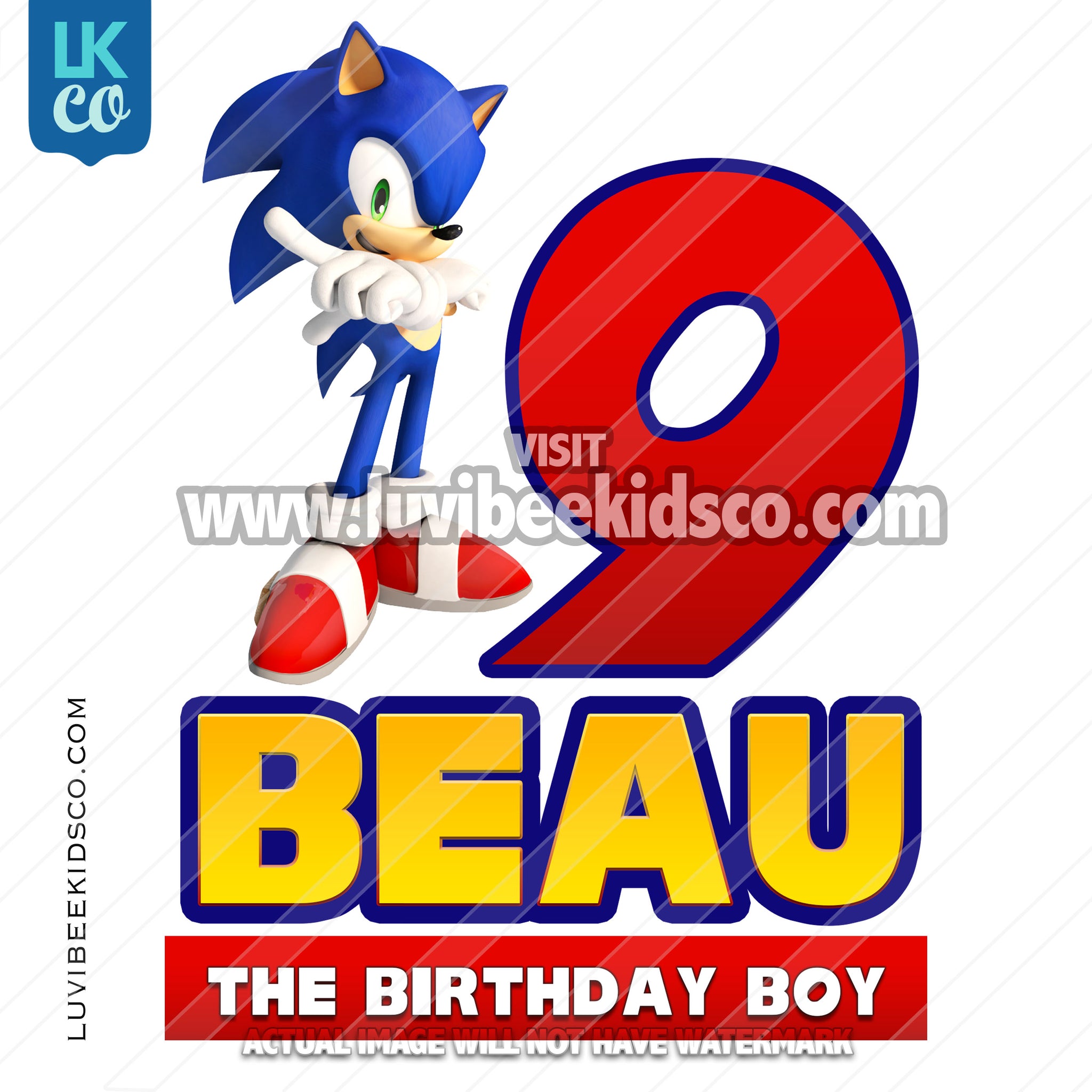 Sonic the Hedgehog - Birthday Boy